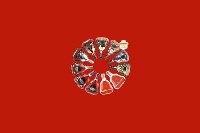 湛江市遂溪回收红酒